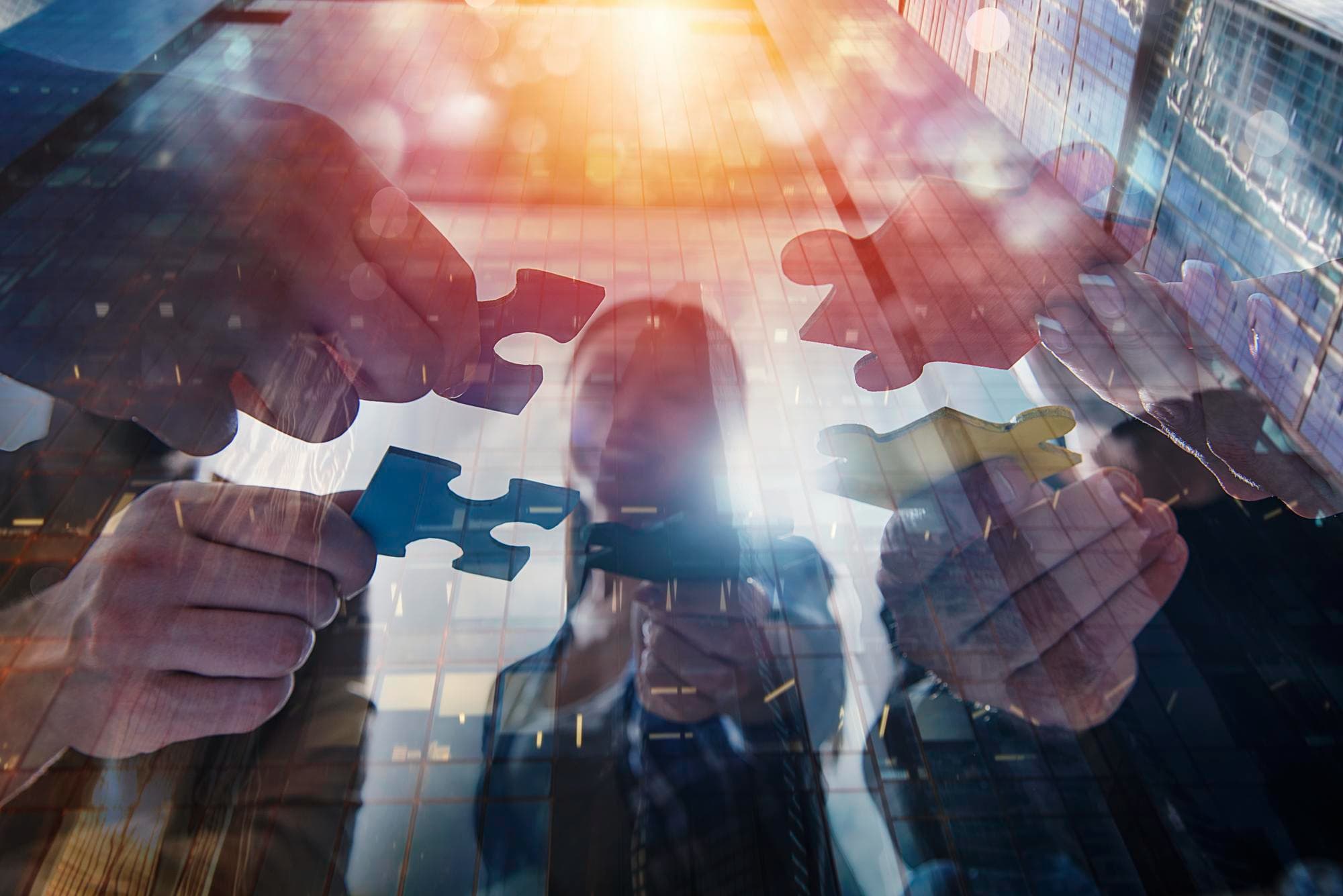 Specialized Legal & Accounting Team