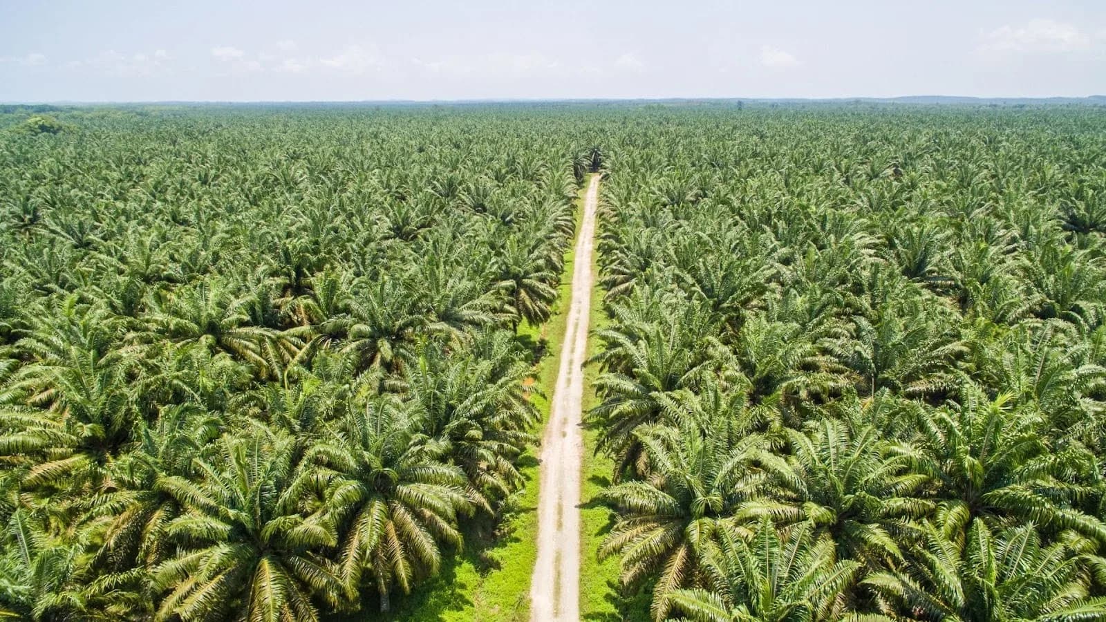 Why Environmental Approval (UKL-UPL or AMDAL) May Be Required Before Obtaining Operational Licenses?